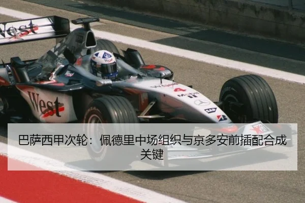 ba-sa-xi-jia-ci-lun-pei-de-li-zhong-chang-zu-zhi-yu-jing-duo-an-qian-cha-pei-he-cheng-guan-jian-3-210.jpg