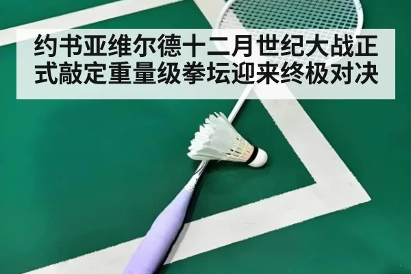约书亚维尔德十二月世纪大战正式敲定重量级拳坛迎来终极对决